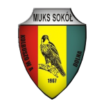 Sokół Kolbuszowa Dolna